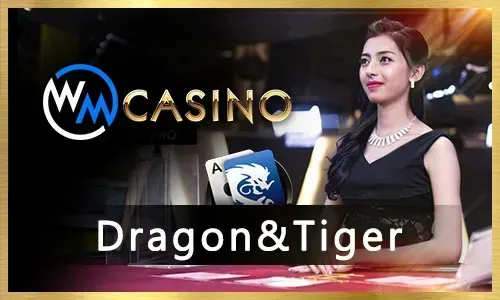 Live Bingoplus Baccarat